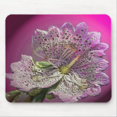 Abberant Foxglove Mousepad (Vorne)