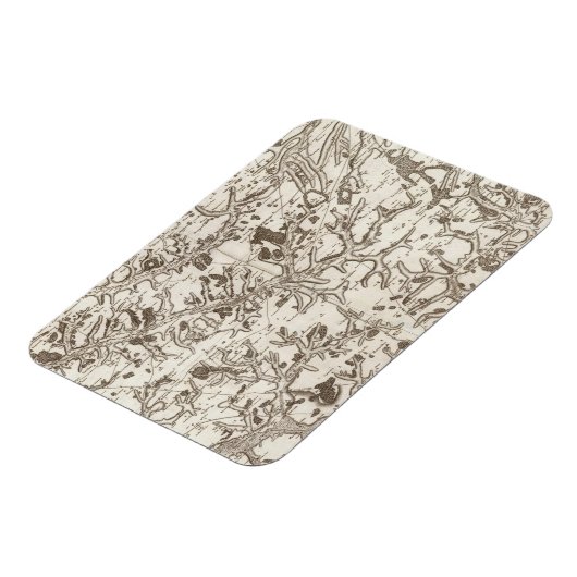 Abbeville Magnet (Linke Seite)