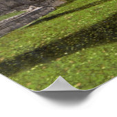 Abbey Tintern (um 1900) Poster (Ecke)