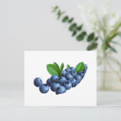 Abbildung 11 postkarte (Stehend Vorderseite)