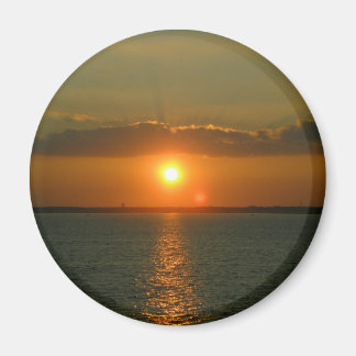 Abbildung 1339 magnet