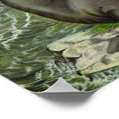 Abbildung 19 "X13" für Vintage Seelöwen Poster (Ecke)