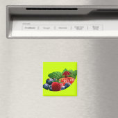 Abbildung 1 magnet (In Situ (Geschirrspüler))