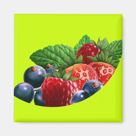 Abbildung 1 magnet (Vorne)