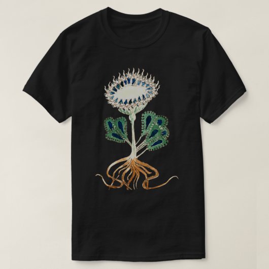 Abbildung 1 von Voynich Manuskript-Pflanze T-Shirt (Design vorne)