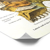 Abbildung 24 X 36 der menschlichen Schädelanatomie Poster (Ecke)
