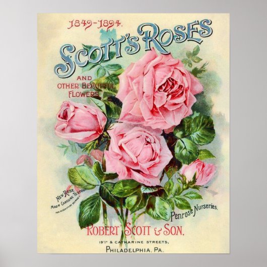 Abbildung der Blume der Vintagen Rose Poster (Vorne)