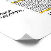 Abbildung der Gram Negative Bakterienzellwand Poster (Ecke)
