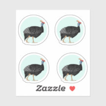 Abbildung der Guinea