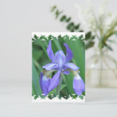 Abbildung der Iris Postkarte (Stehend Vorderseite)