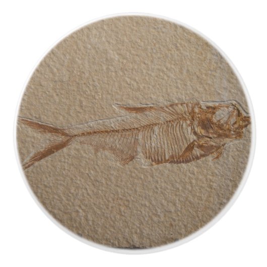 Abbildung der Keramik des Fossil Sandsteins Keramikknauf (Vorderseite)