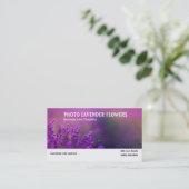Abbildung der Lavendel-Blume-Visitenkarte Visitenkarte (Stehend Vorderseite)