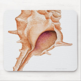 Abbildung der Murex-Muschel Mousepad