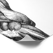 Abbildung der Muskelanatomie des Retro-Pferdes Poster (Ecke)