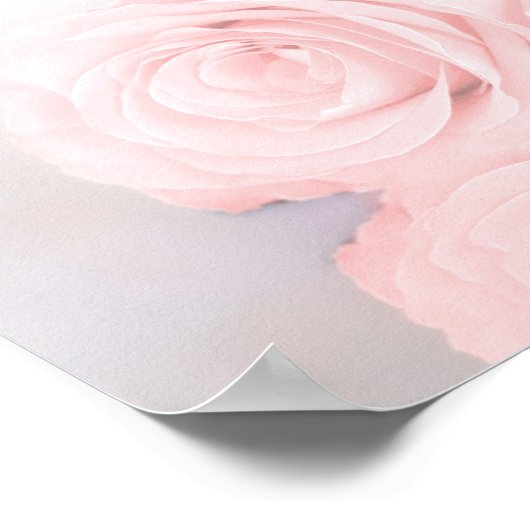 Abbildung der Rosa-Rose-5-Tabelle Poster (Ecke)