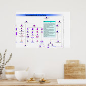 Abbildung der Stammzellen der Hämatopoese beim Men Poster (Küche)