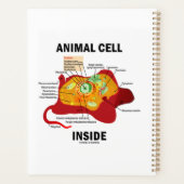 Abbildung der Zellen in Eukaryote Planer (Rückseite)