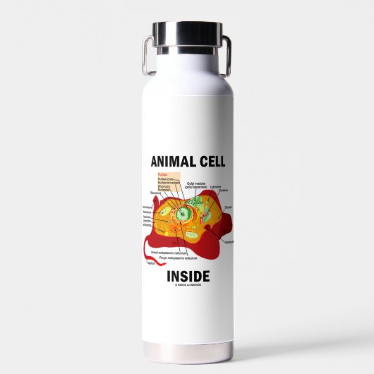 Abbildung der Zellen in Eukaryote Trinkflasche (Vorne)
