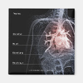 Abbildung des Atemsystems und des Herzens Magnet (Vorne)