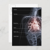 Abbildung des Atemsystems und des Herzens Postkarte (Vorne/Hinten)