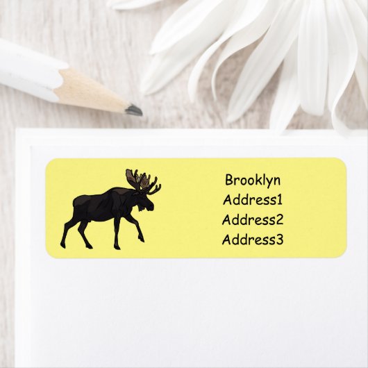 Abbildung des Cartoon (Insitu)