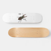 Abbildung des Cartoon des Käfers Skateboard (Horizontal)