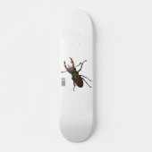 Abbildung des Cartoon des Käfers Skateboard (Vorne)