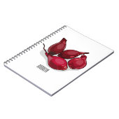 Abbildung des Cartoon Shallot Notizblock (Linke Seite)