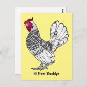 Abbildung des Cartoon von Sebright-Hühnern Postkarte (Vorne/Hinten)