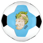 Abbildung des Kauliblumen-Cartoon Fußball (Gedreht)