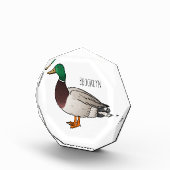 Abbildung des Mallard-Enten-Cartoon Fotoblock (Rechts)