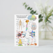 Abbildung des menschlichen Gehirns und des zentral Postkarte (Stehend Vorderseite)