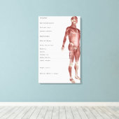 Abbildung des Muskelsystems Leinwanddruck (Insitu (Holzboden))