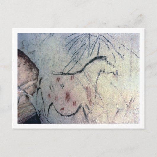 Abbildung einer schwangeren Stute mit Parallelmark Postkarte (Vorderseite)