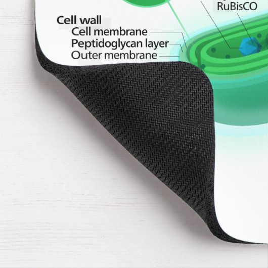 Abbildung einer typischen Cyanobakterienzelle Mousepad (Ecke)