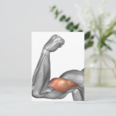 Abbildung eines gefederten Arms mit Bizeps Postkarte (Stehend Vorderseite)