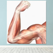 Abbildung eines gefederten Arms mit menschlichem B Leinwanddruck (Insitu (Holzboden))