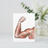 Abbildung eines gefederten Arms mit menschlichem B Postkarte (Stehend Vorderseite)