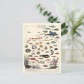 Abbildung exotischer Fische Postkarte (Stehend Vorderseite)