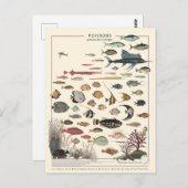 Abbildung exotischer Fische Postkarte (Vorne/Hinten)