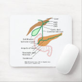 Abbildung Leber der Maus Pad-Gallenblase Mousepad (Mit Mouse)