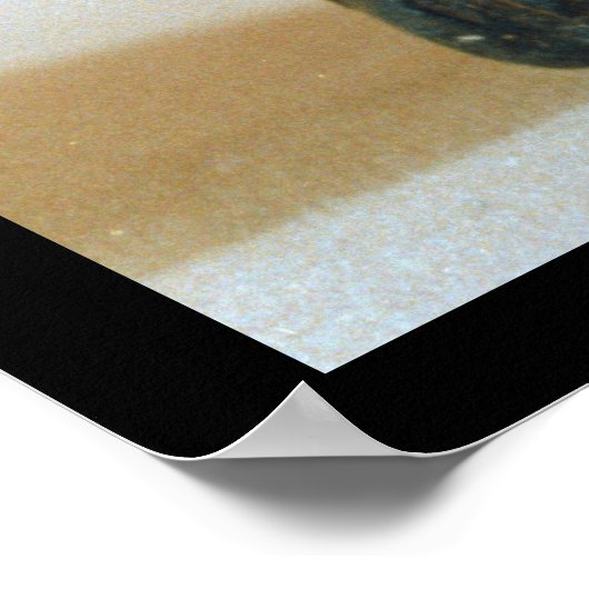 Abbildung mit dem Kopf eines Jaguars Poster (Ecke)