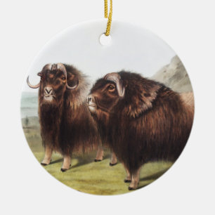 Abbildung Ox (Ovibos moschatus) Keramik Ornament