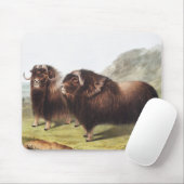 Abbildung Ox (Ovibos moschatus) Mousepad (Mit Mouse)
