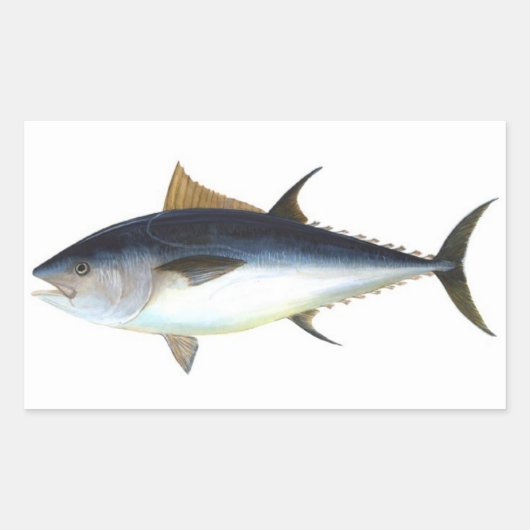 Abbildung Roter Thun Rechteckiger Aufkleber (Vorderseite)