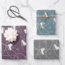 Abbildung Skate Skaten in 3 Farben