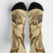 Abbildung Socken (Oben)