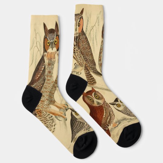 Abbildung Socken (Rechts)