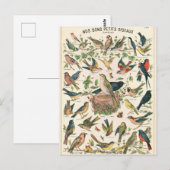 Abbildung unserer guten kleinen Vögel Postkarte (Vorne/Hinten)