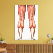 Abbildung Veranschaulichung der Muskelgruppen Leinwanddruck (Insitu (Wohnzimmer))